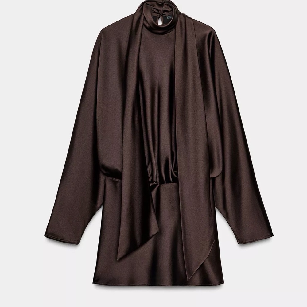 Zara Chocolate Brown Satin Mini Dress